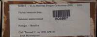 Image Associated With the Occurence